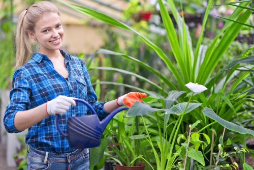Landscaping team using safe working practices during site preparation