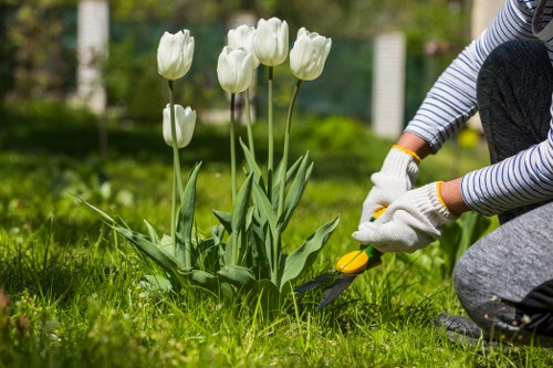 Professional landscaping operations with tidy, controlled working environment