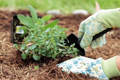 Reusable garden materials prepared for charity donation