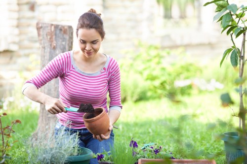 Patio layout and paving material options for Dulwich homes