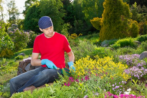 Modern and traditional landscaping features in a Dulwich suburban garden