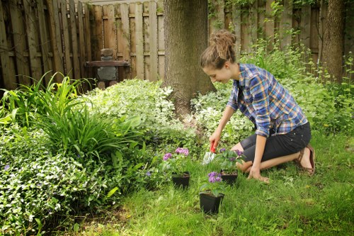 Senior review stage in a landscaping complaints process